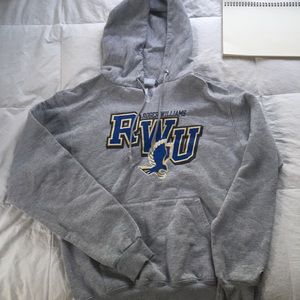 Champion School Hoodie